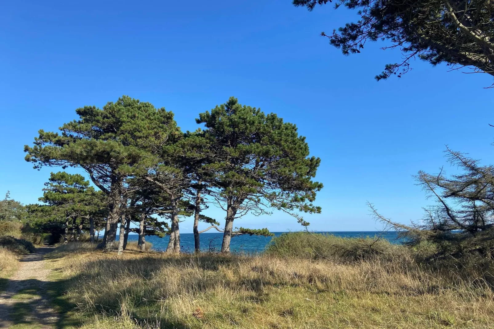 7 persoons vakantie huis in Knebel-By Traum