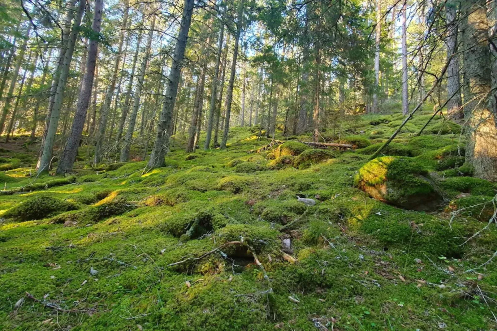 7 persoons vakantie huis in BRUZAHOLM-By Traum-Niet-getagd