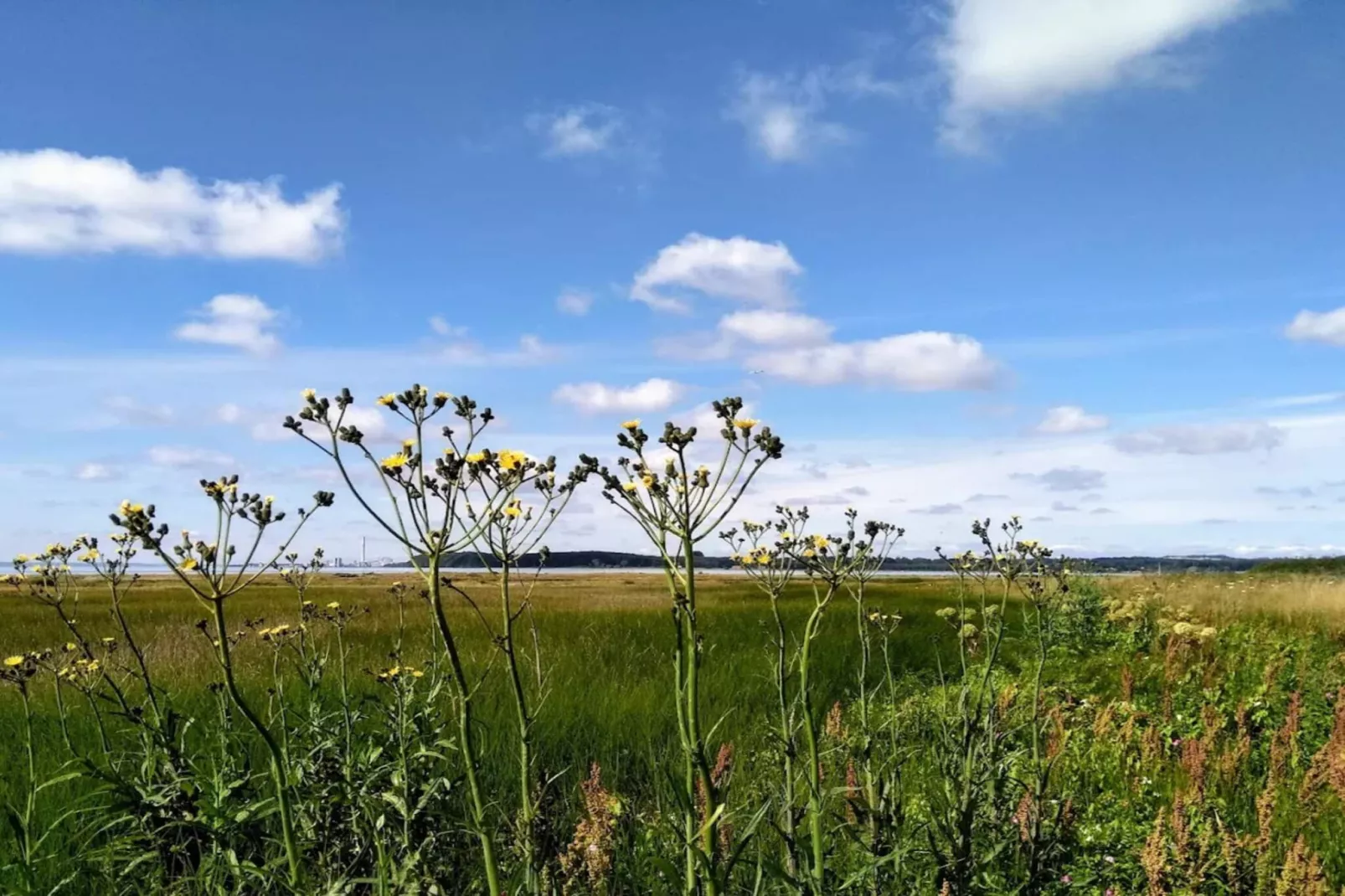 10 persoons vakantie huis in Rønde-By Traum