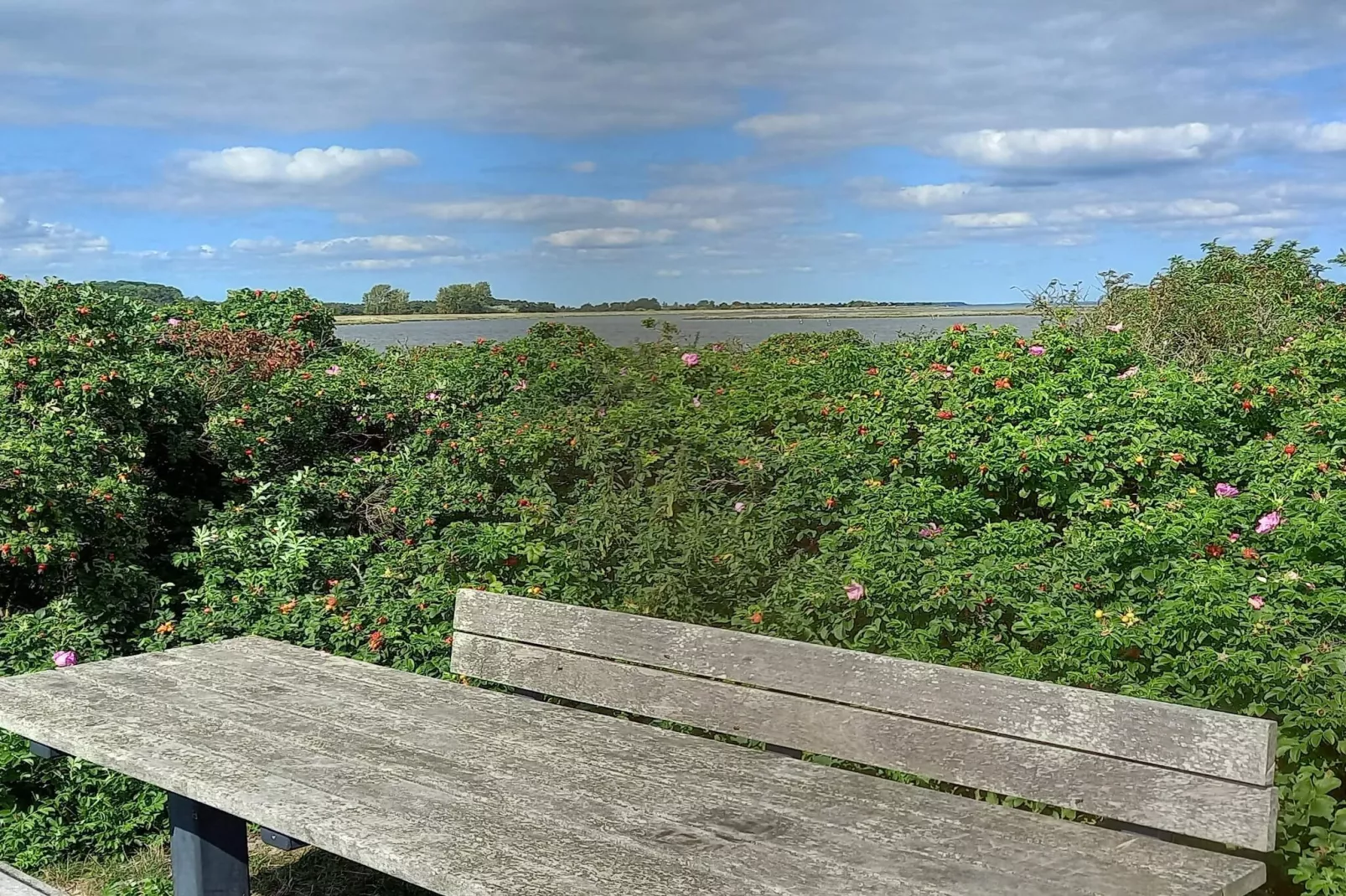 10 persoons vakantie huis in Haderslev-By Traum