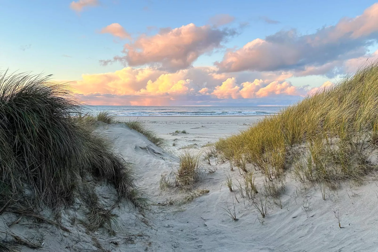 8 persoons vakantie huis in Blokhus-By Traum