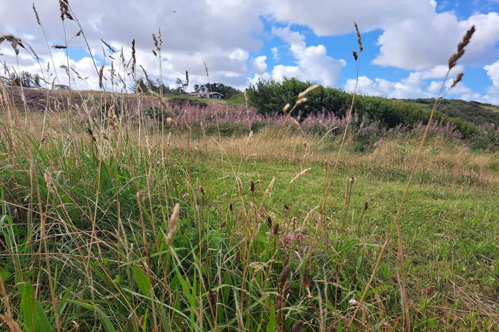 8 persoons vakantie huis in Struer-By Traum-Niet-getagd