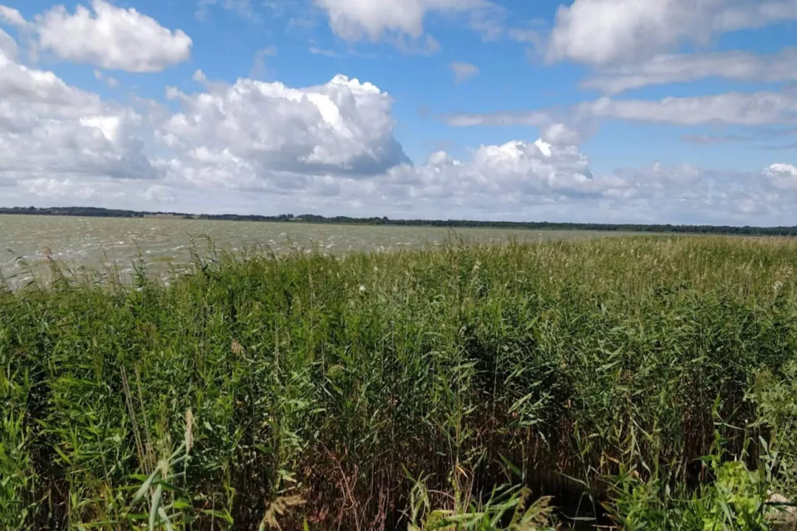 Gezellig vakantiehuis in Asserbo