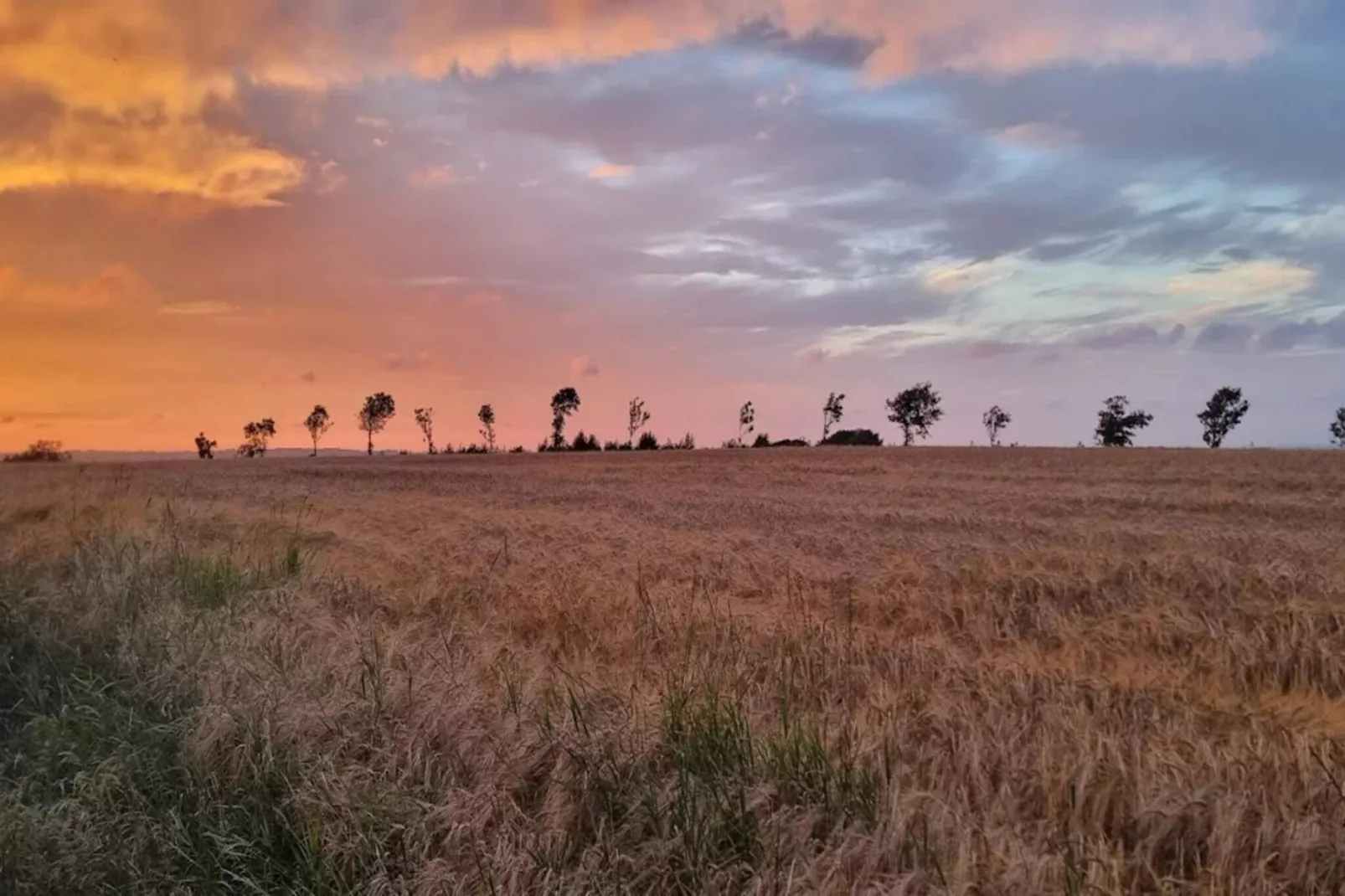 10 persoons vakantie huis in Roslev-By Traum-Niet-getagd