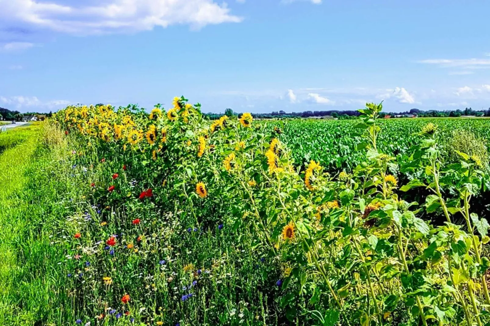 Rustig strandverblijf - Door Traum