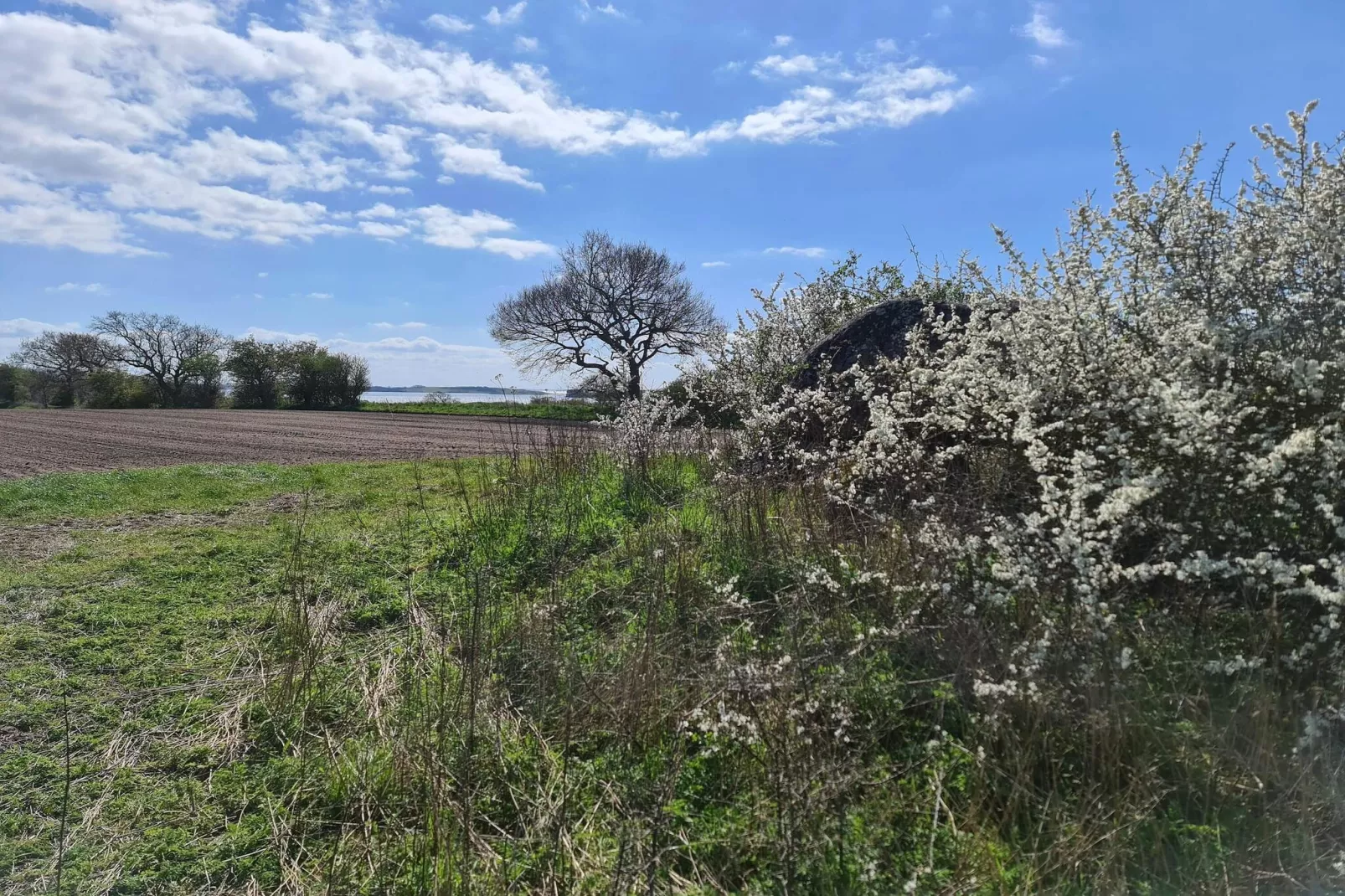 6 persoons vakantie huis in Haarby-By Traum-Waterzicht