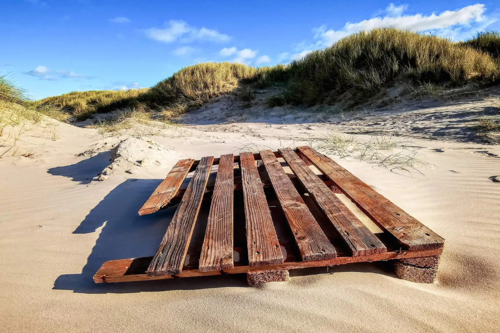 Gezellig huisje nabij Blokhus -- By Traum Ferienwohnungen
