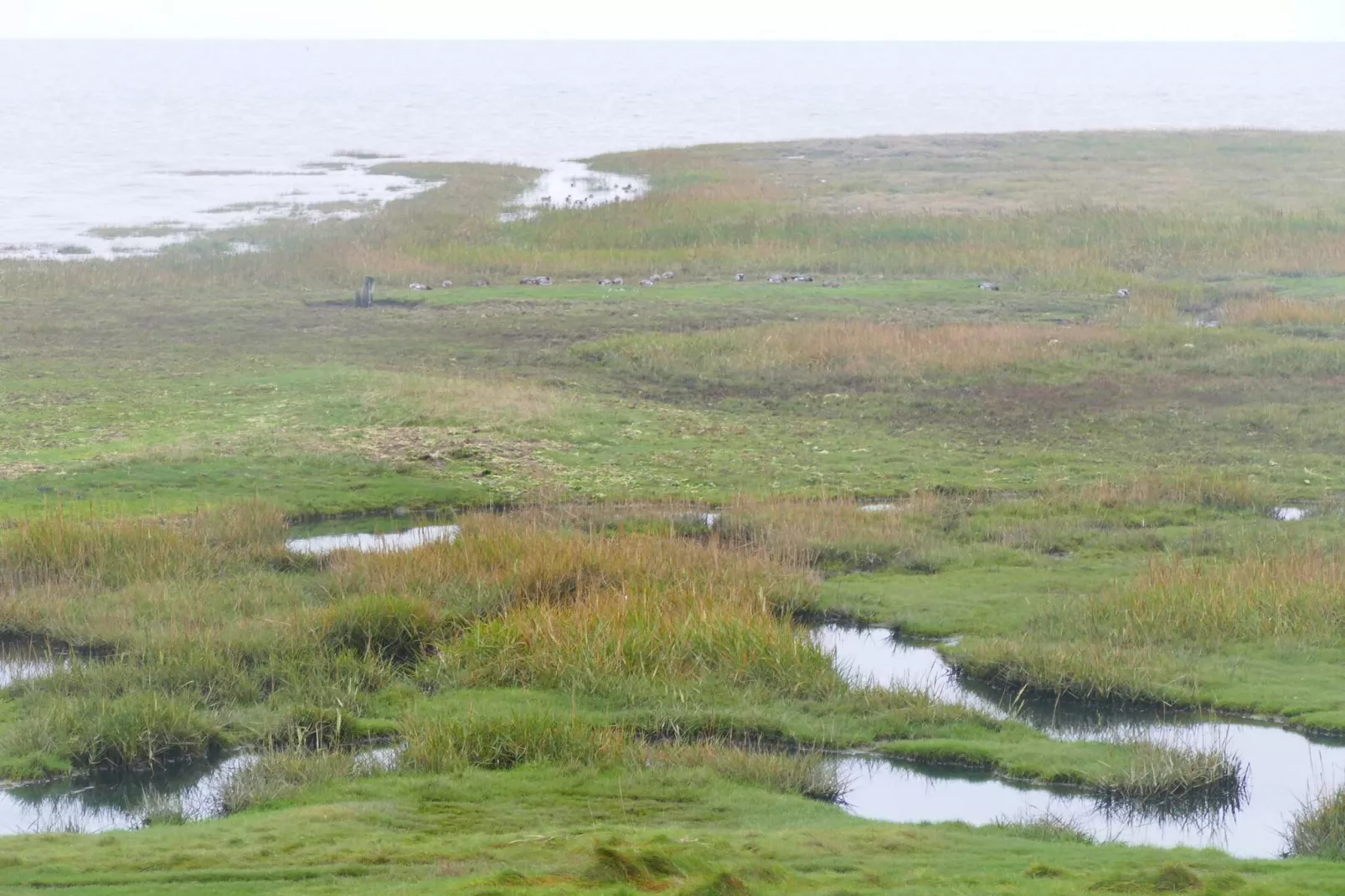 6 persoons vakantie huis in Rømø-By Traum