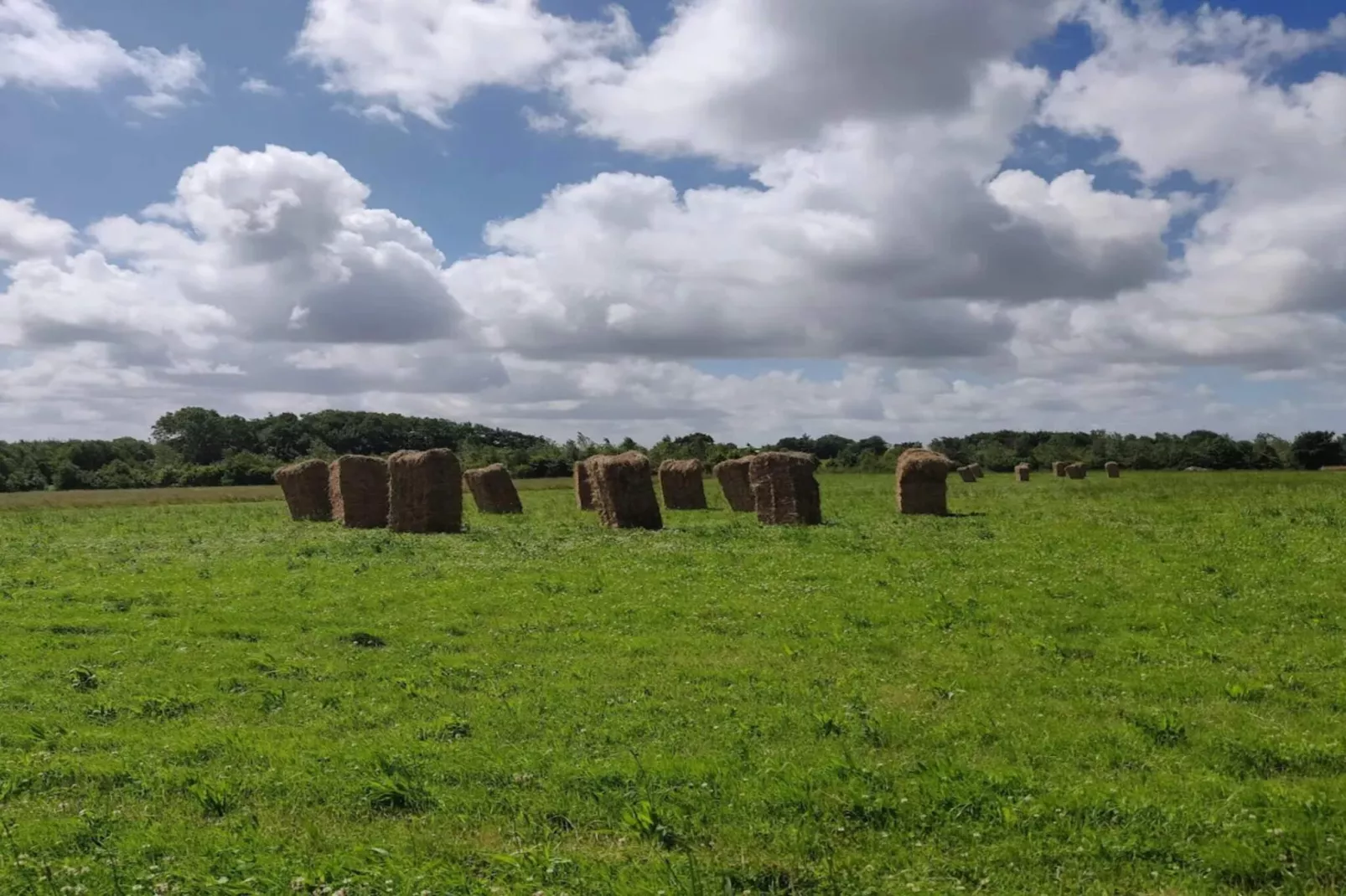 5 persoons vakantie huis in Roslev-By Traum-Niet-getagd