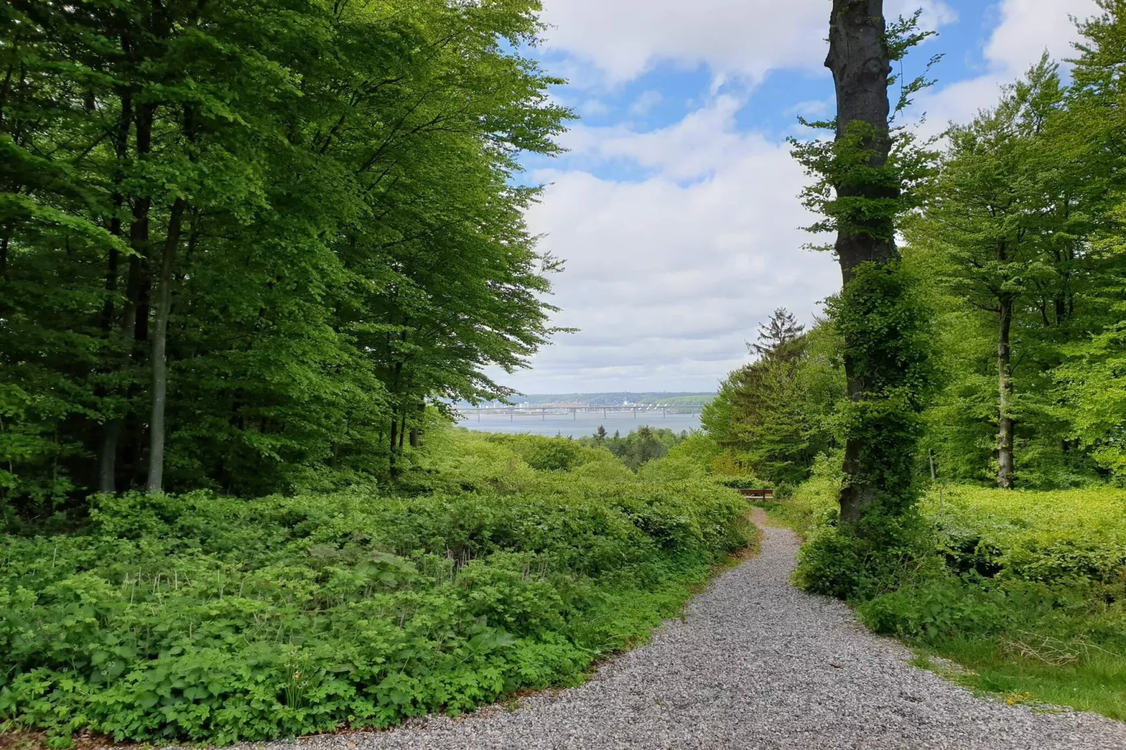 Gezellig toevluchtsoord nabij strand -- By Traum Ferienwohnungen