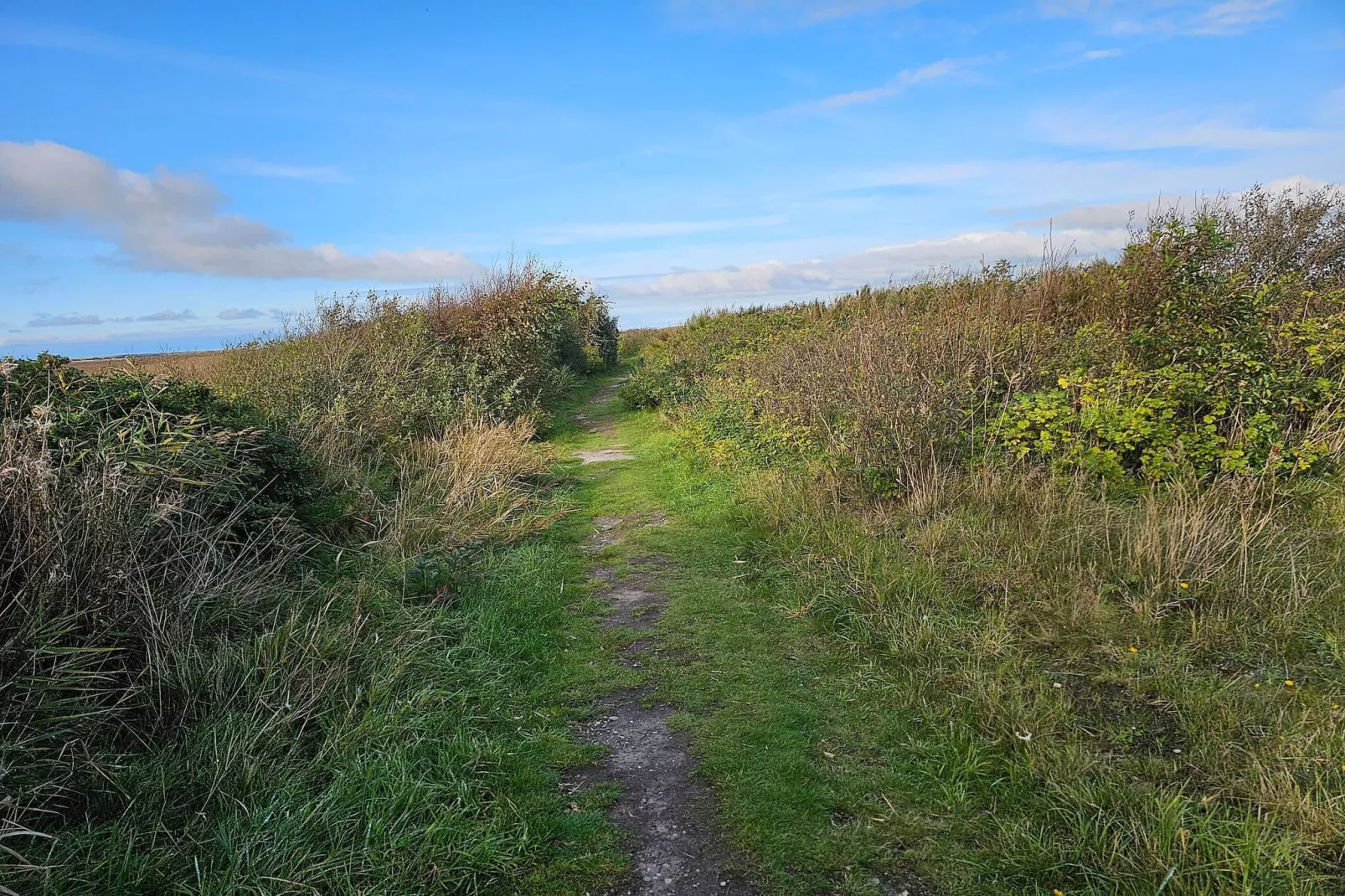 10 persoons vakantie huis in Haderslev-By Traum