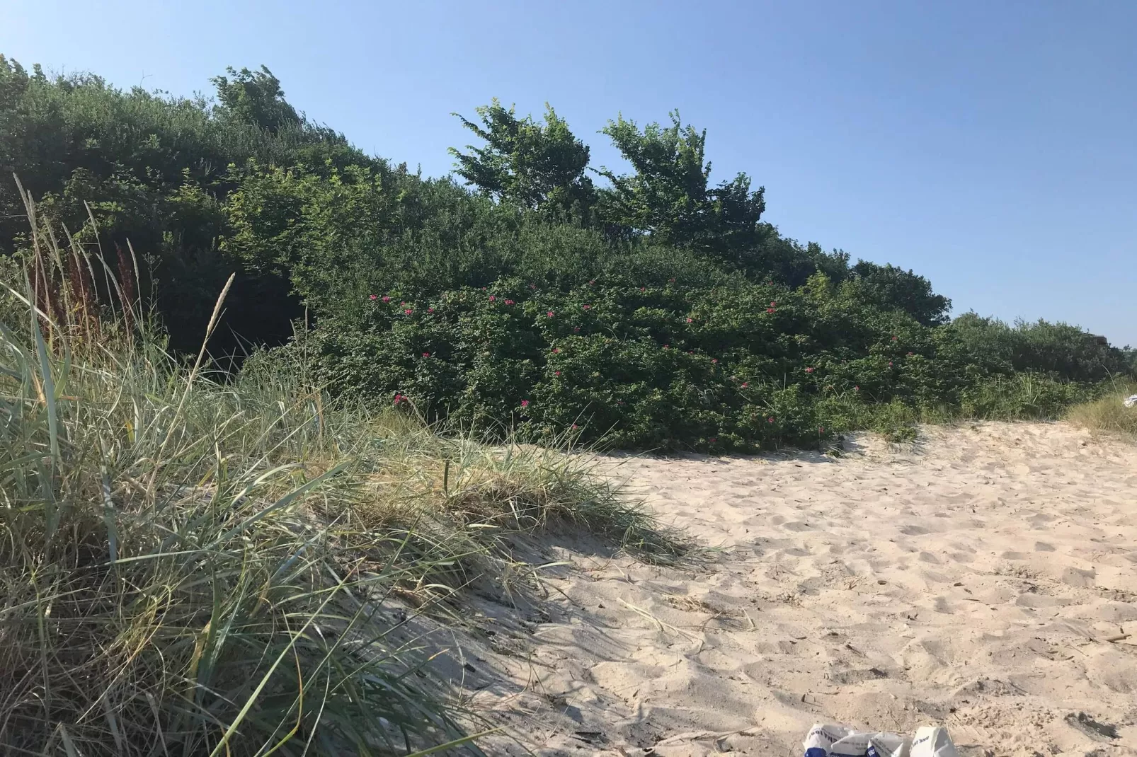 6 persoons vakantie huis in Odder-By Traum-Niet-getagd