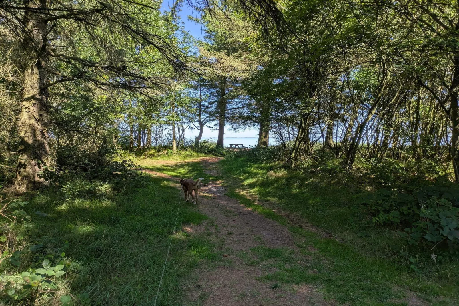 Gezellig toevluchtsoord met sauna -- By Traum Ferienwohnungen