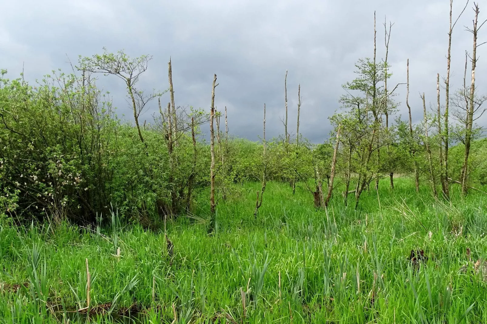 5 persoons vakantie huis in Ans By-By Traum-Niet-getagd