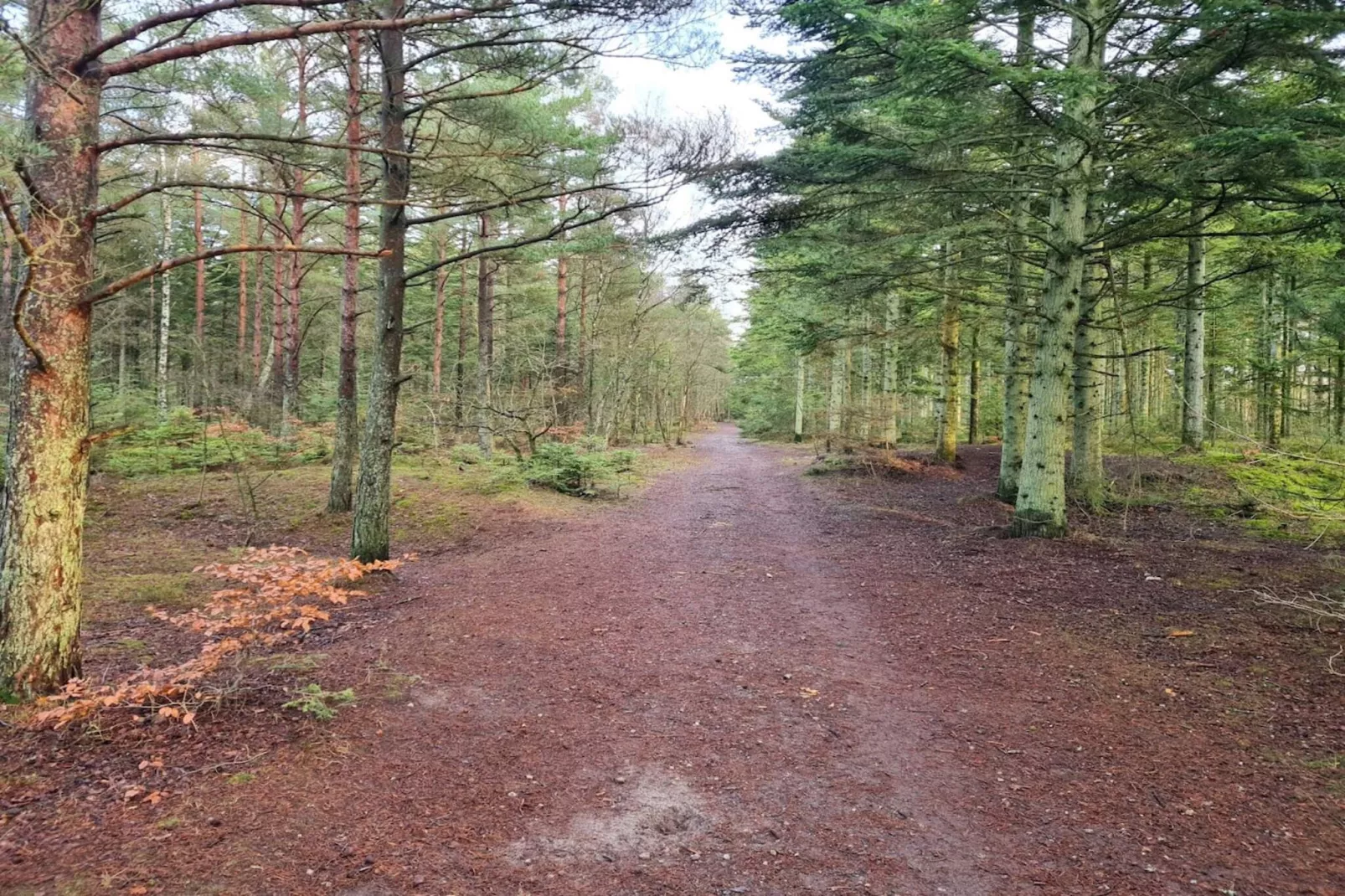Rustig toevluchtsoord in de natuur -- By Traum Ferienwohnungen-Niet-getagd
