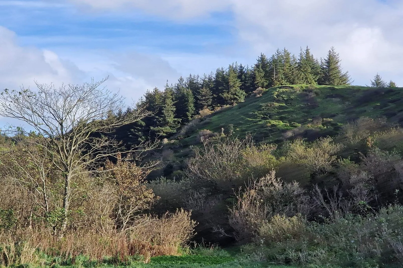 10 persoons vakantie huis in Brovst