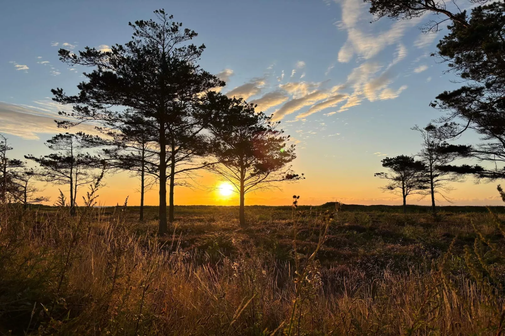 4 persoons vakantie huis in Hals-By Traum