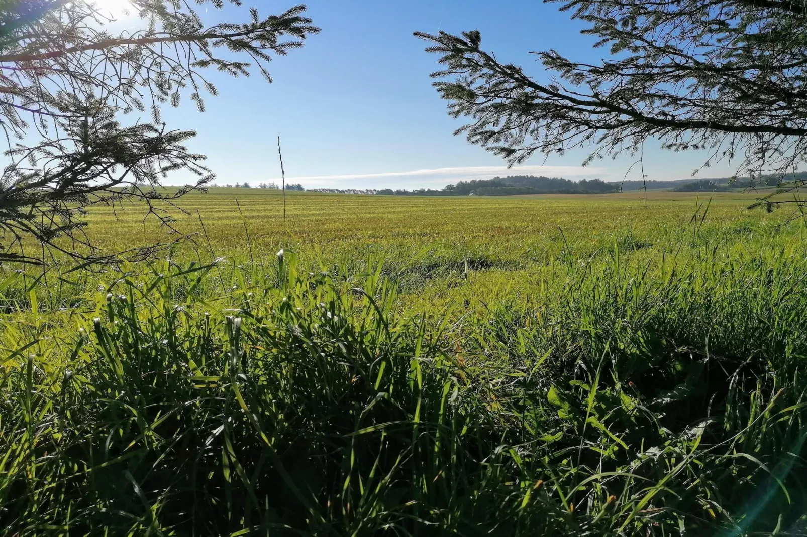 Modern toevluchtsoord met spa -- By Traum Ferienwohnungen