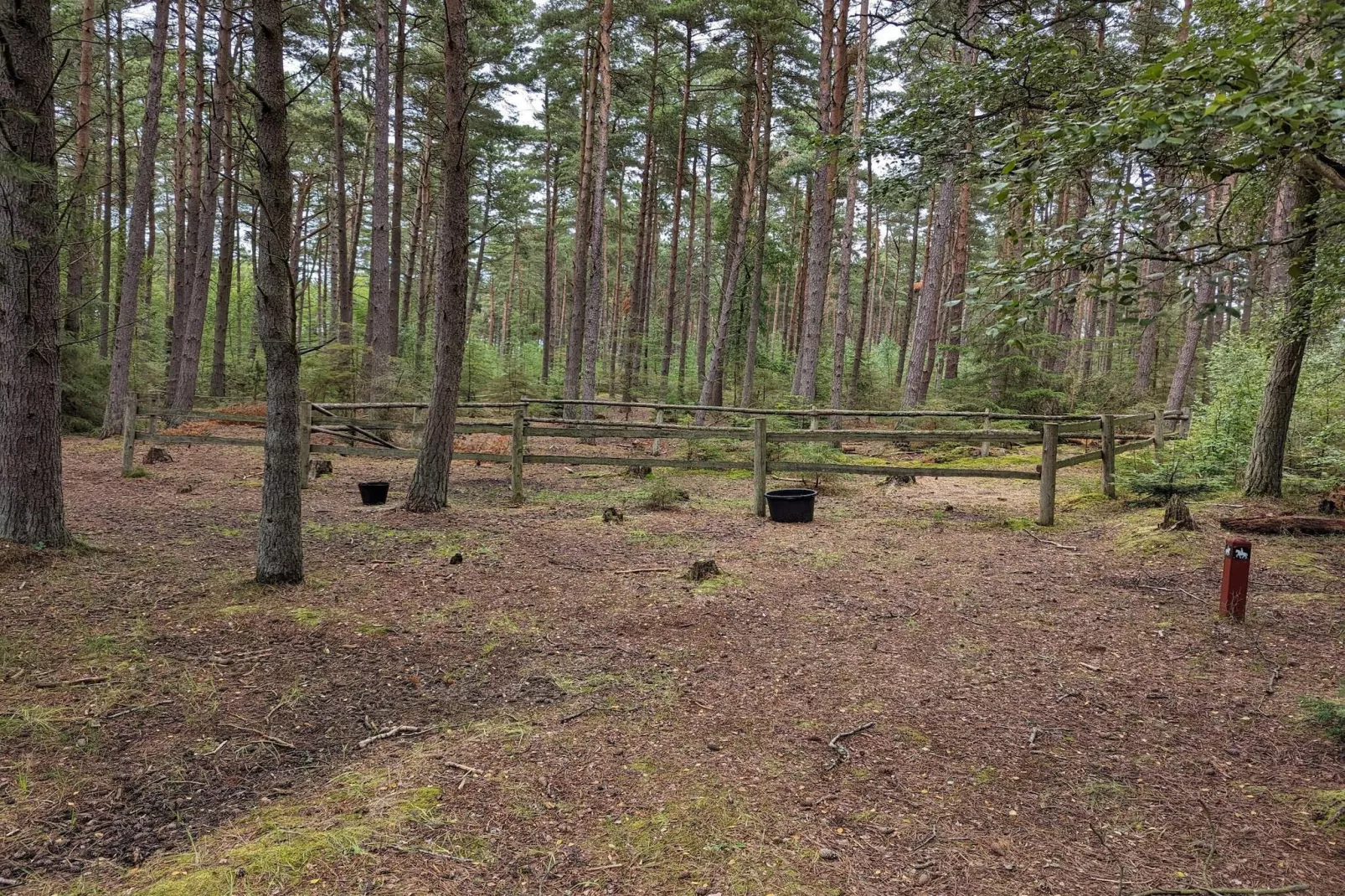 6 persoons vakantie huis in Læsø-By Traum