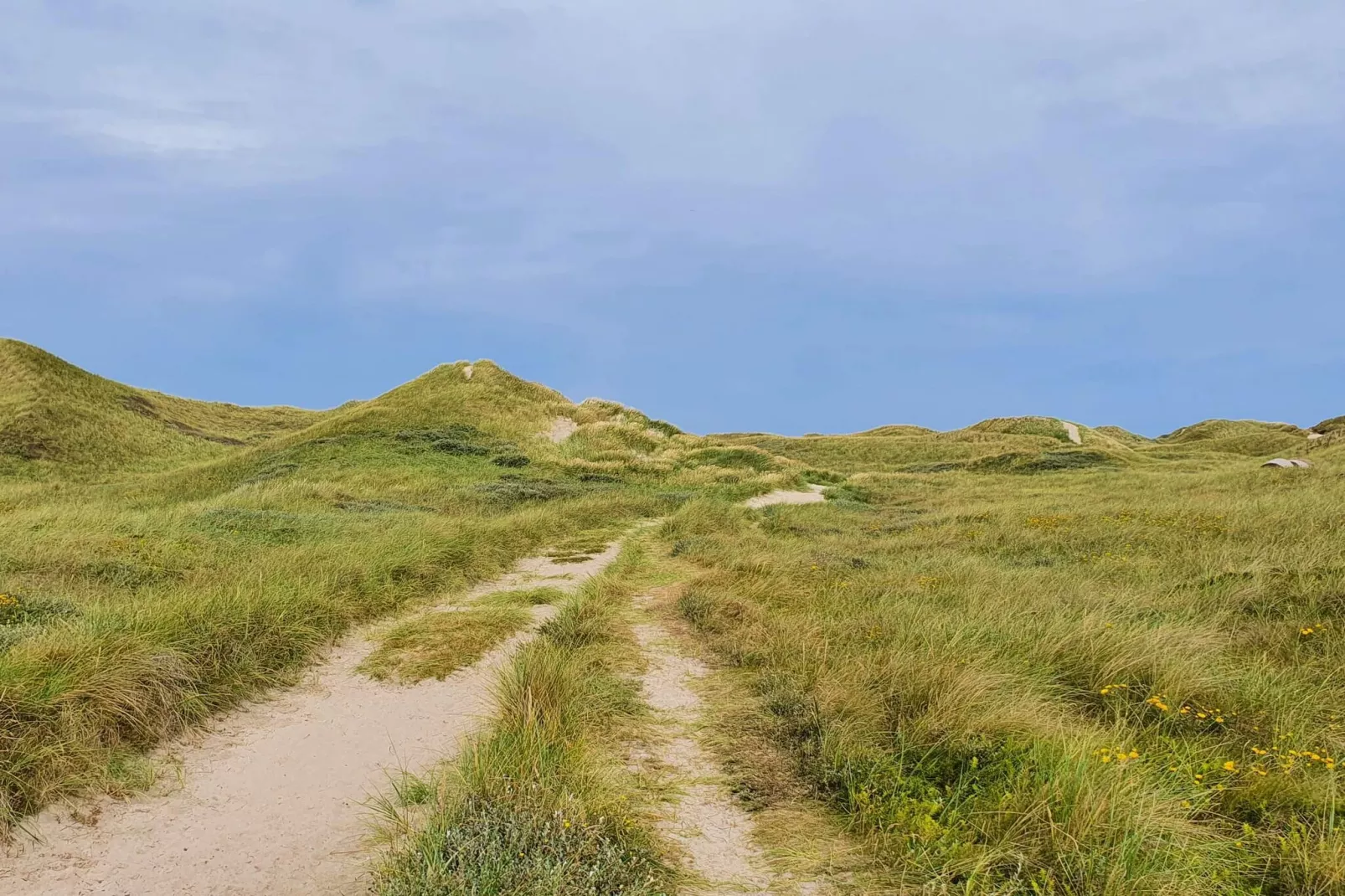 12 persoons vakantie huis in Ulfborg-By Traum-Niet-getagd