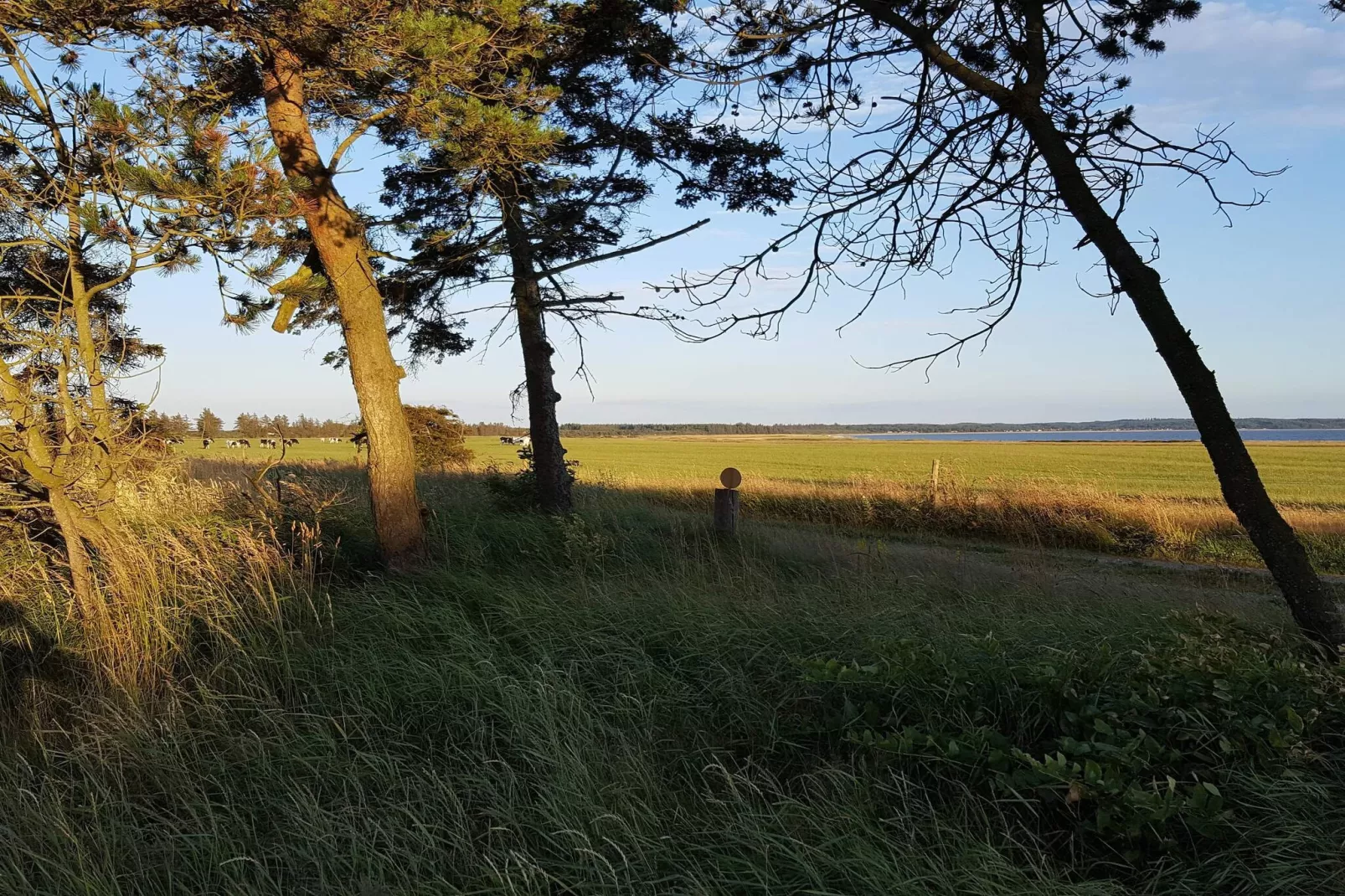 6 persoons vakantie huis in Løgstør-By Traum