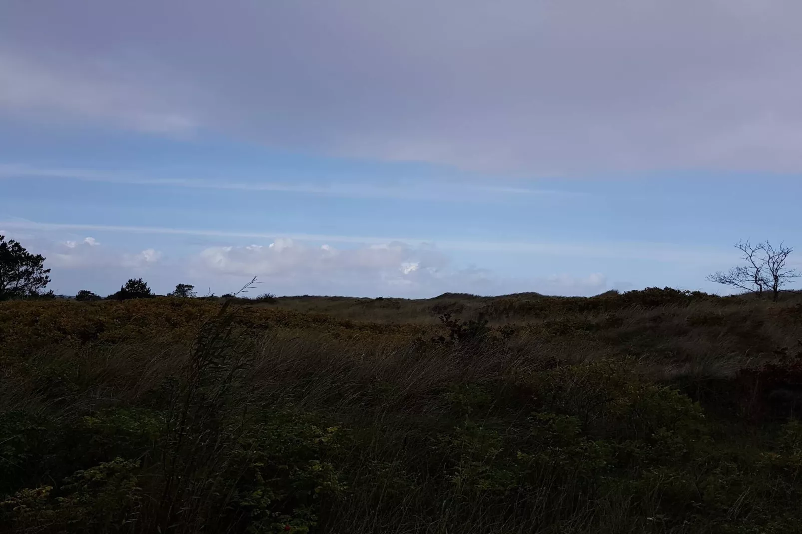 6 persoons vakantie huis in Strandby-By Traum