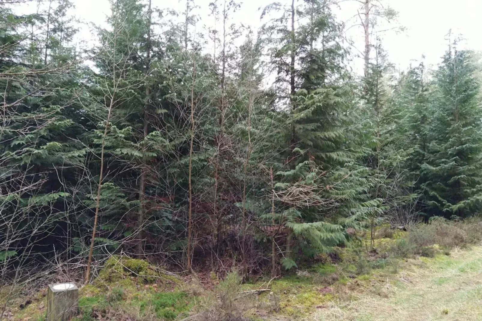 8 persoons vakantie huis in Gjern-By Traum