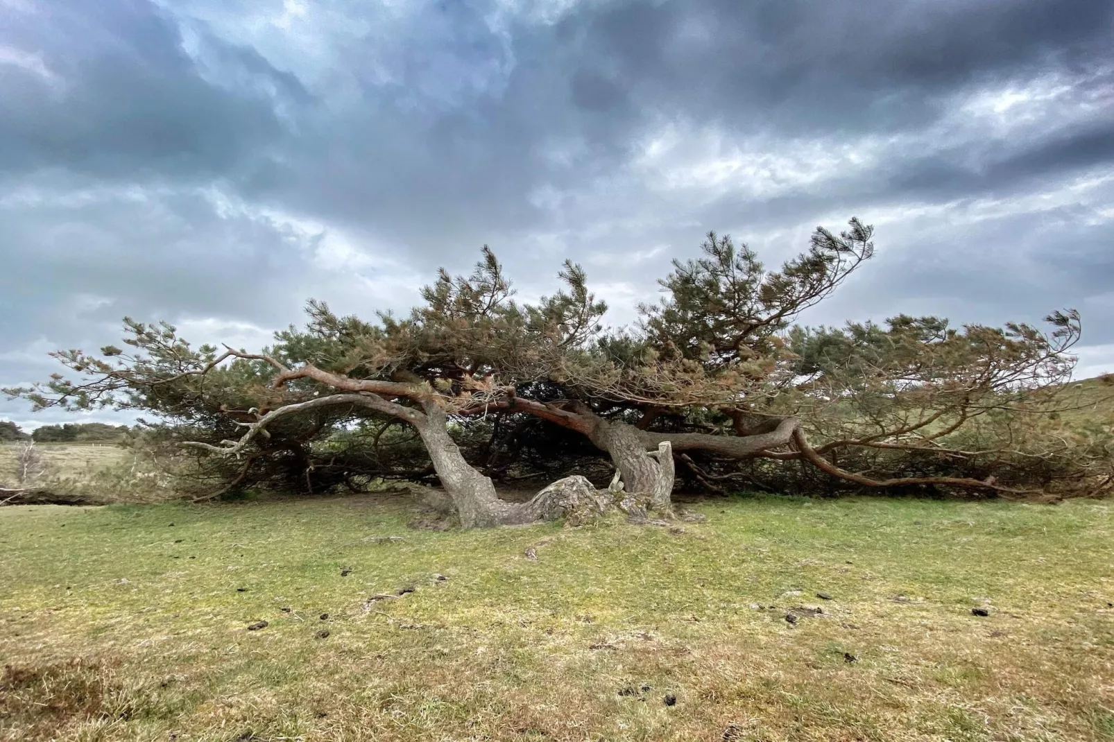 Luxe strandverblijf -- By Traum Ferienwohnungen