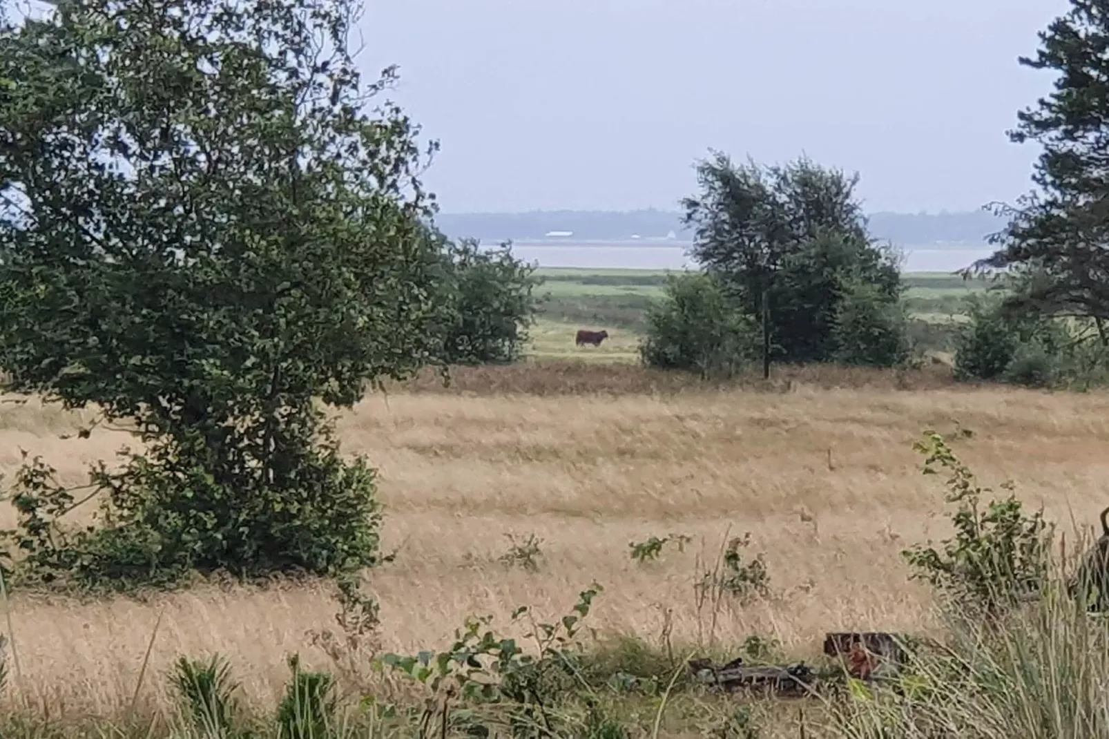 6 persoons vakantie huis in Oksbøl