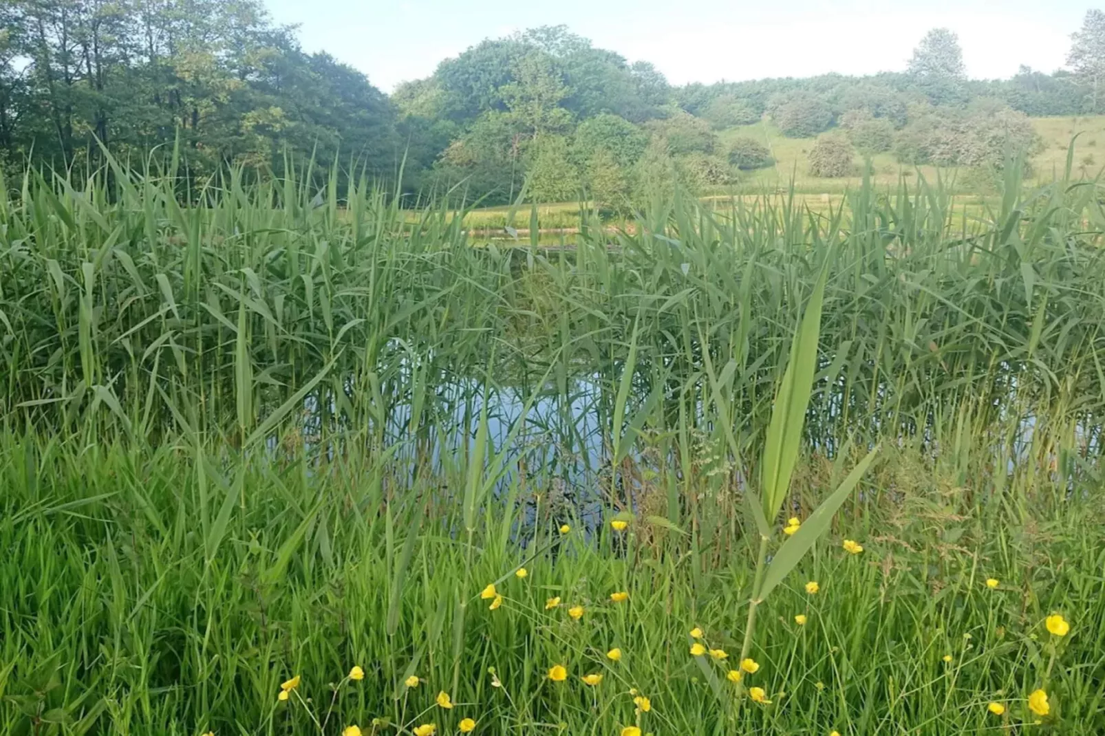 Luxe retraite bij Asbolholm -- By Traum Ferienwohnungen