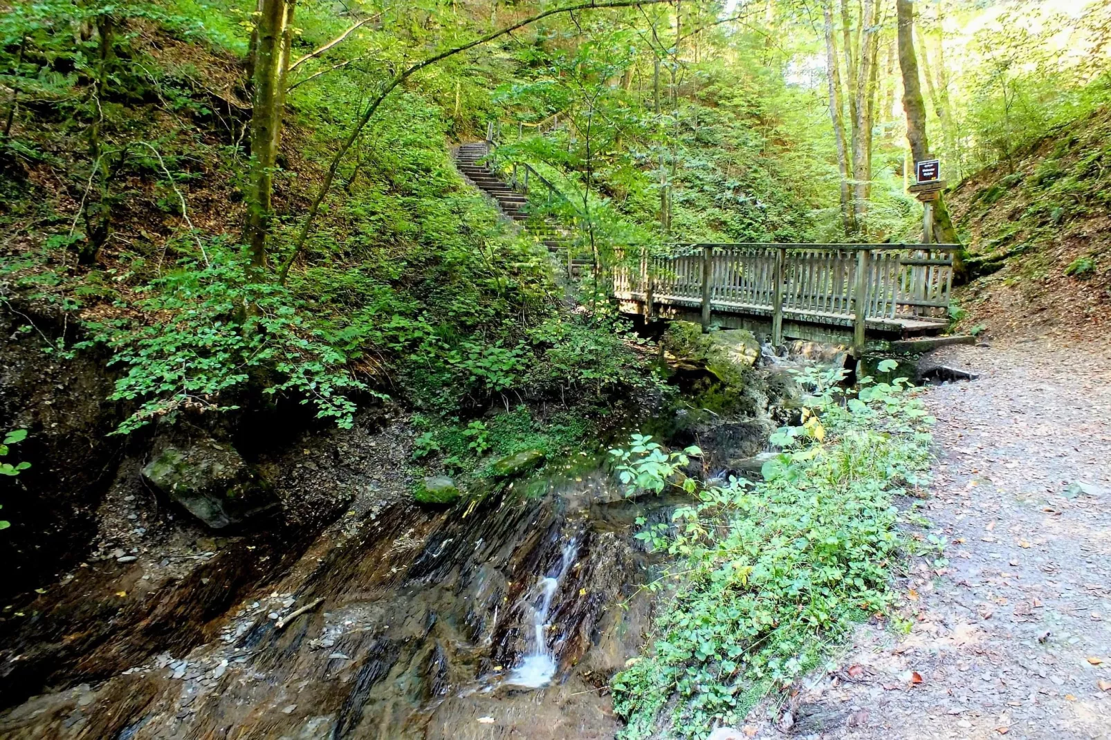 Weltring-Park 2-T-Gebieden zomer 5km