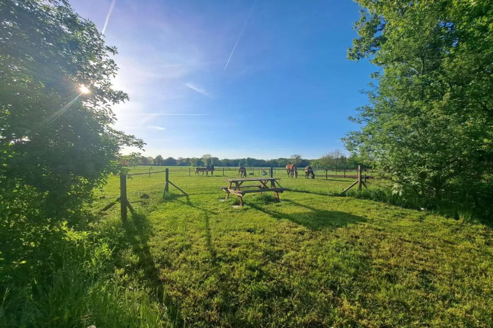 Vakantiepark De Lochemse Berg 1-Gebieden zomer 20km