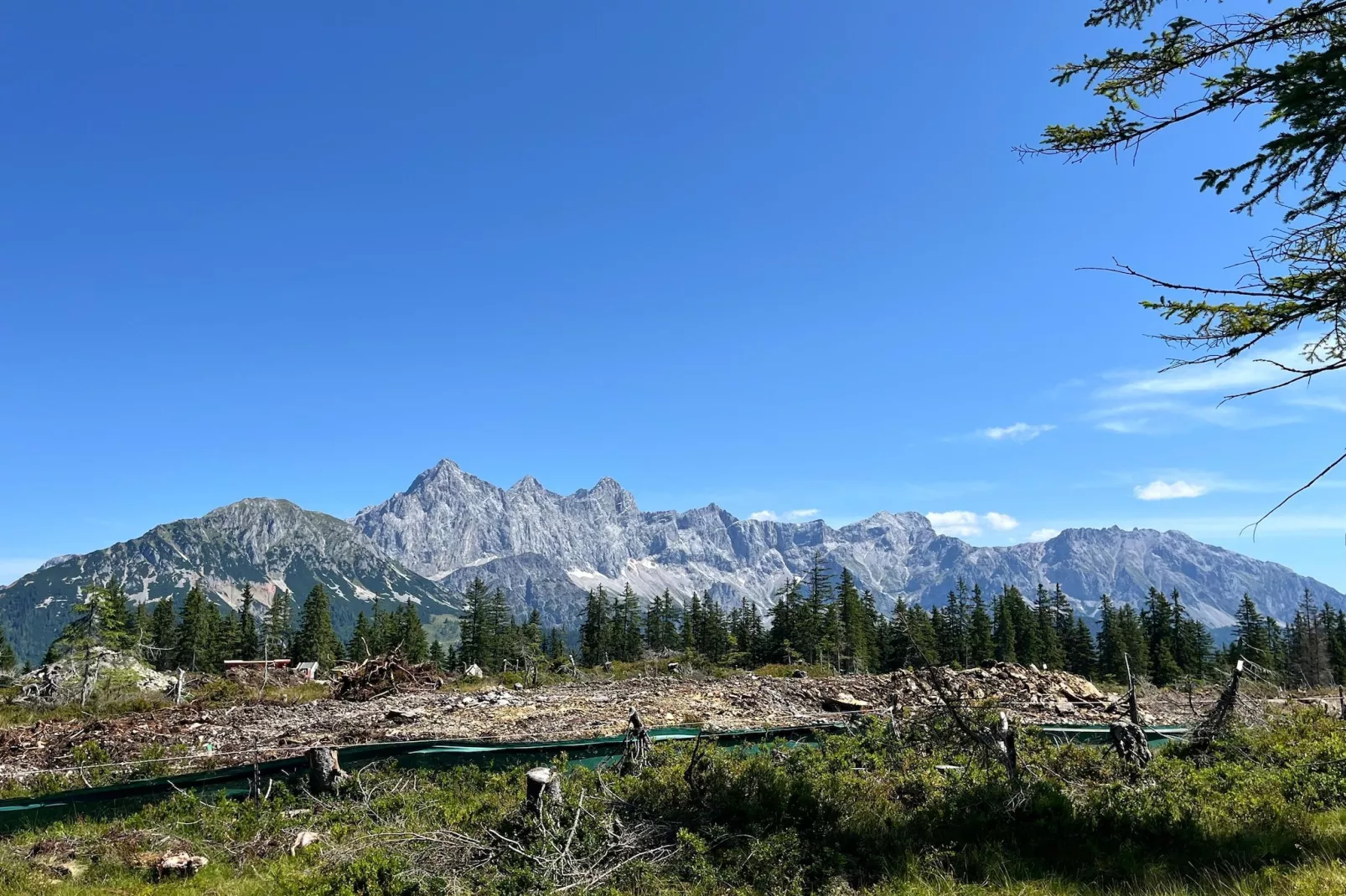 Filzmoos Appartements-Gebieden zomer 1km