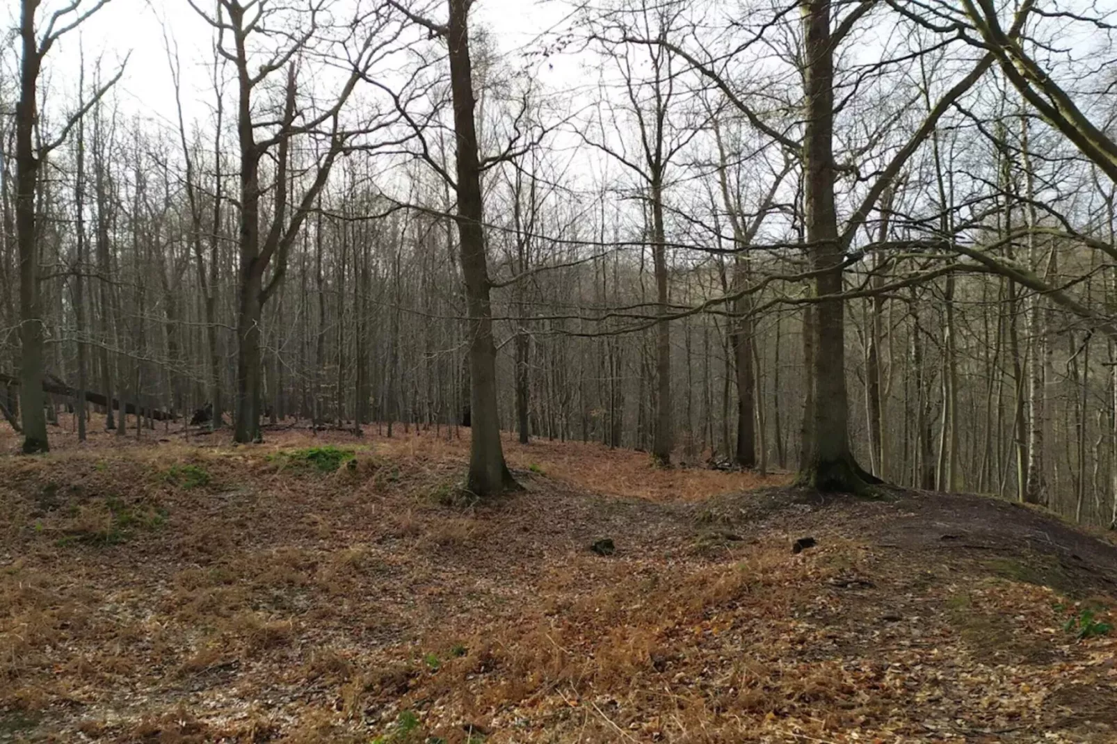 7 persoons vakantie huis in Juelsminde-By Traum