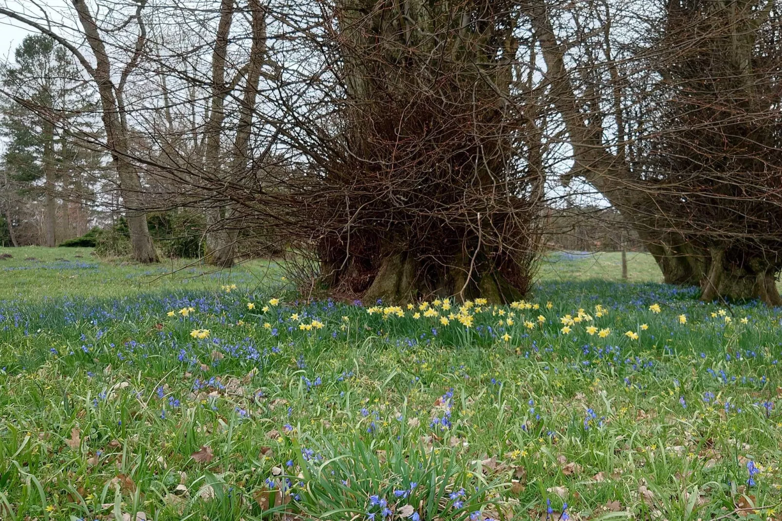 6 persoons vakantie huis in Glesborg