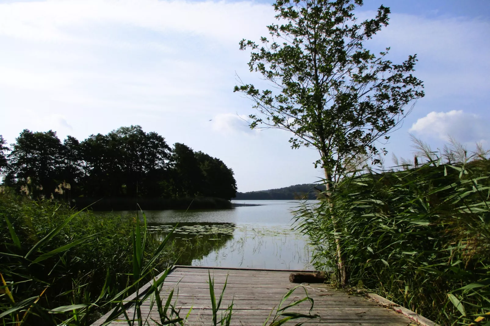 Holiday accomodations Kolczewo Nr 5-Gebieden zomer 1km