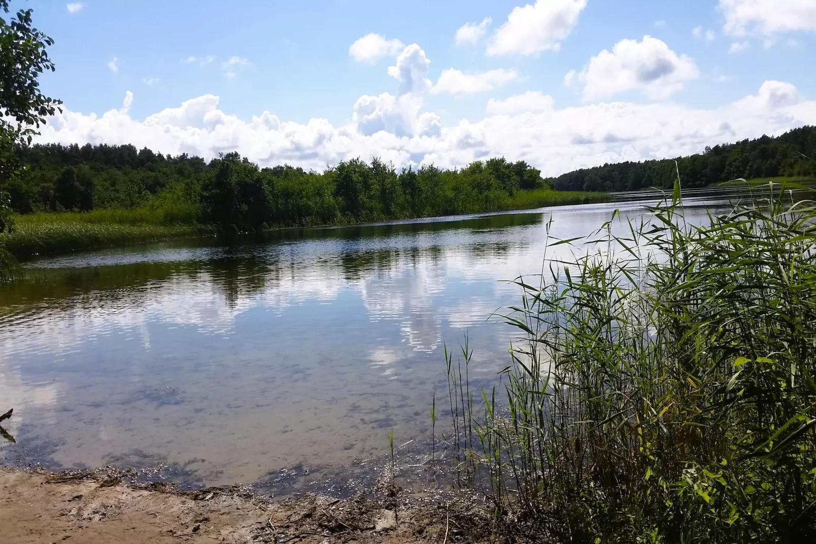 Holiday home Kolczewo 35 qm Nr 2-Gebieden zomer 1km