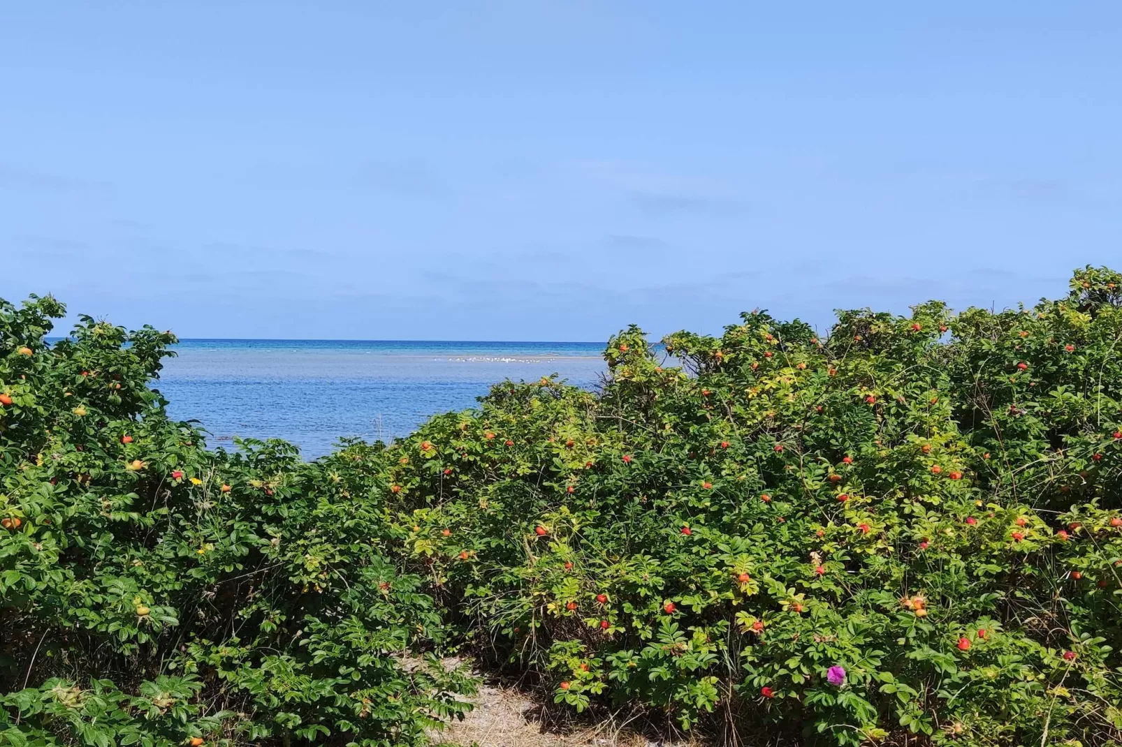 6 persoons vakantie huis in Grenaa-By Traum-Niet-getagd