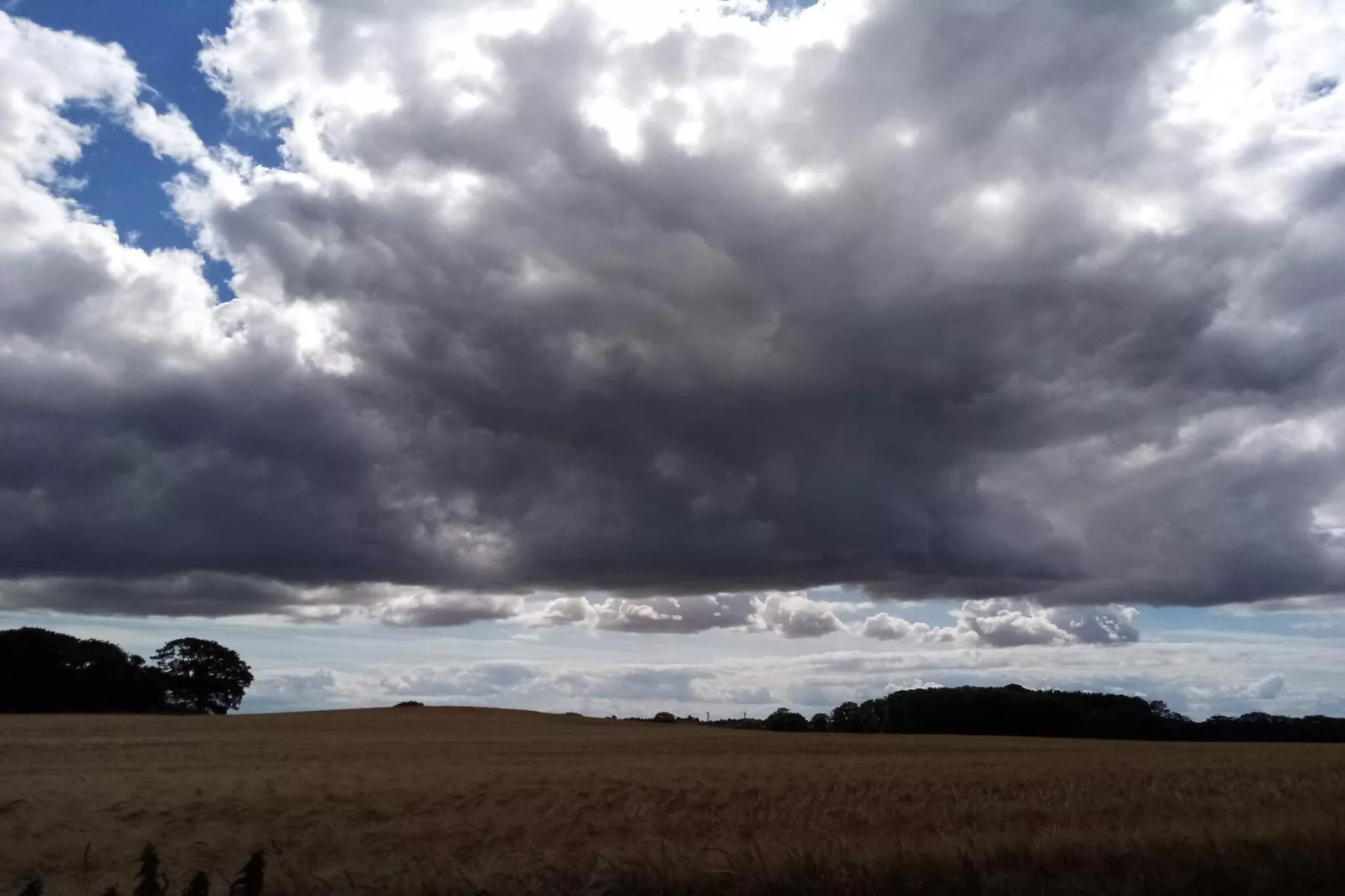 5 persoons vakantie huis in Føllenslev-By Traum