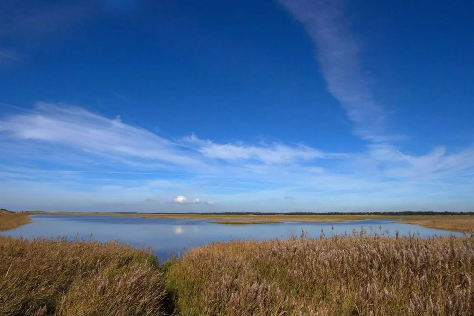 6 persoons vakantie huis in Blåvand