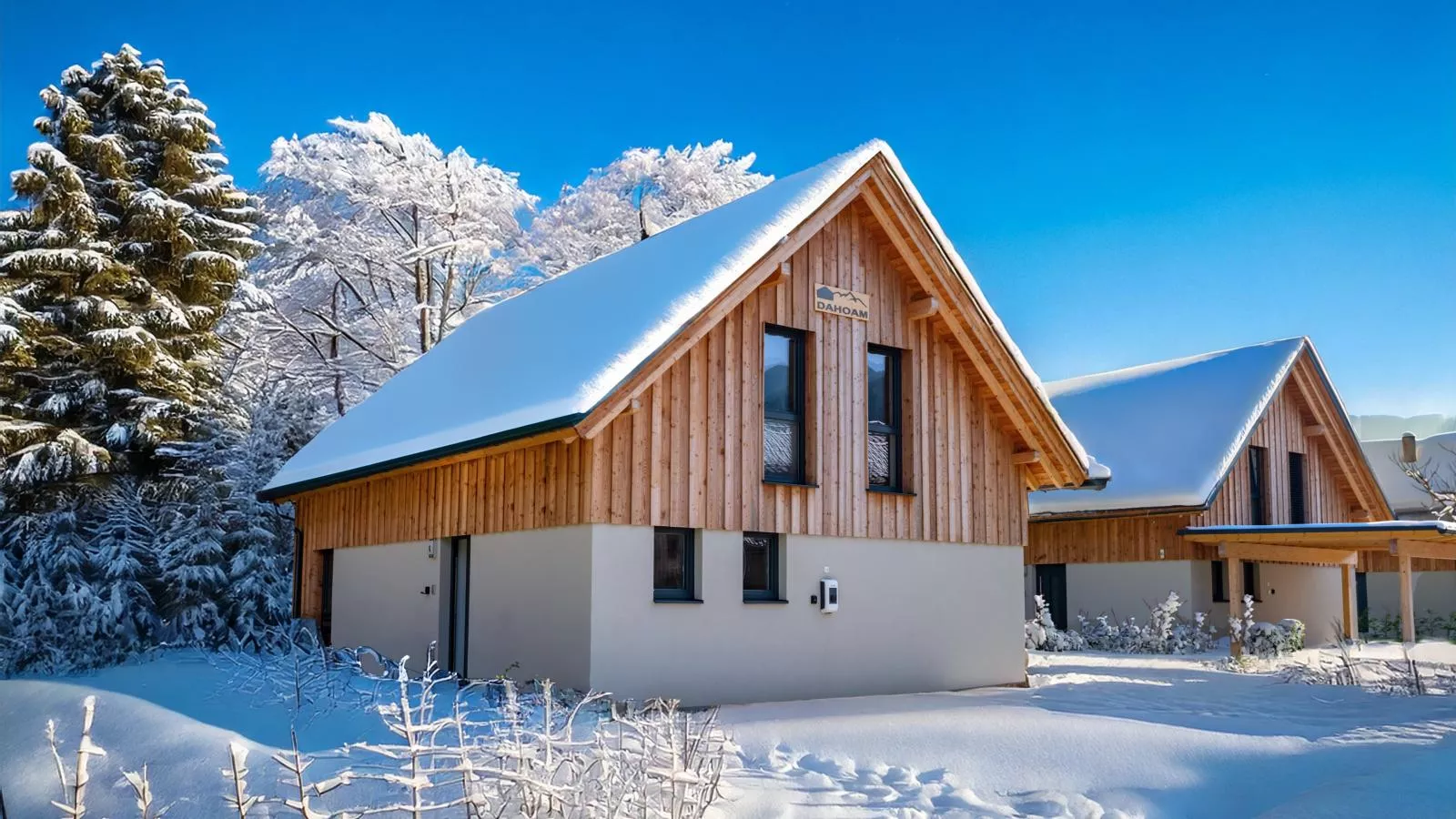 Mountain Chalet Dahoam