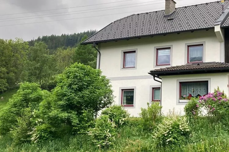 Ferienhaus Peitler-Buitenkant zomer