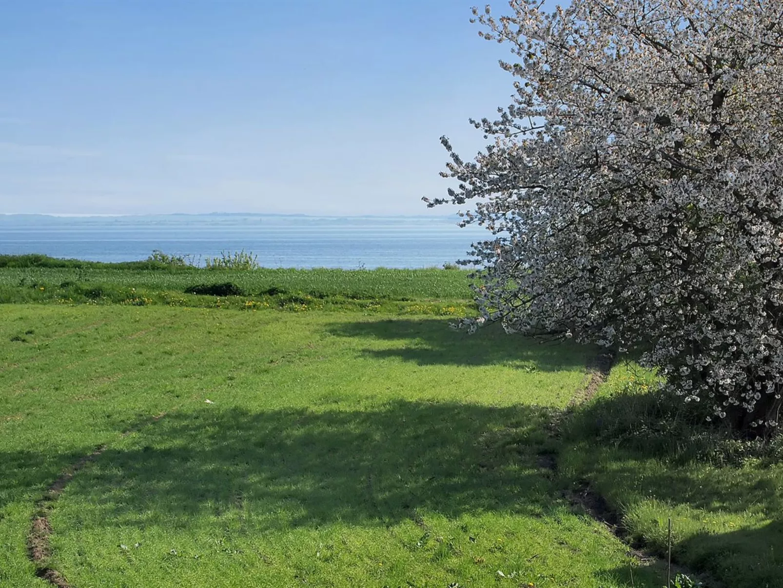 "Ady" - 150m from the sea