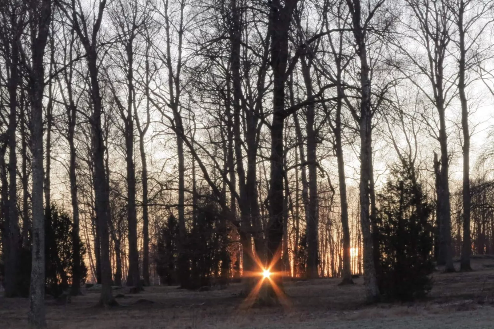 6 persoons vakantie huis in HAMMARÖ-By Traum