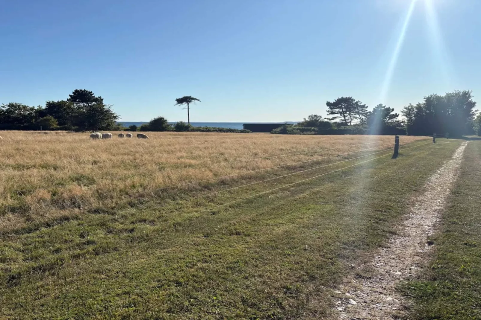 10 persoons vakantie huis in Assens-By Traum-Waterzicht