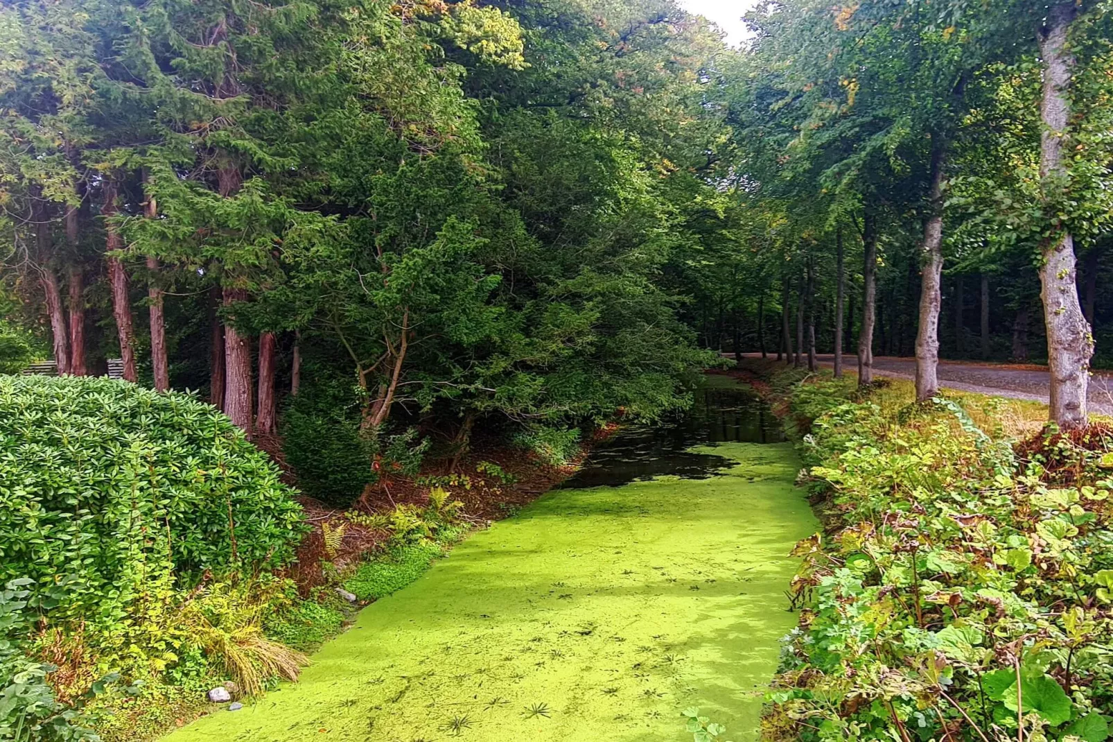 4 persoons vakantie huis in Tønder-By Traum