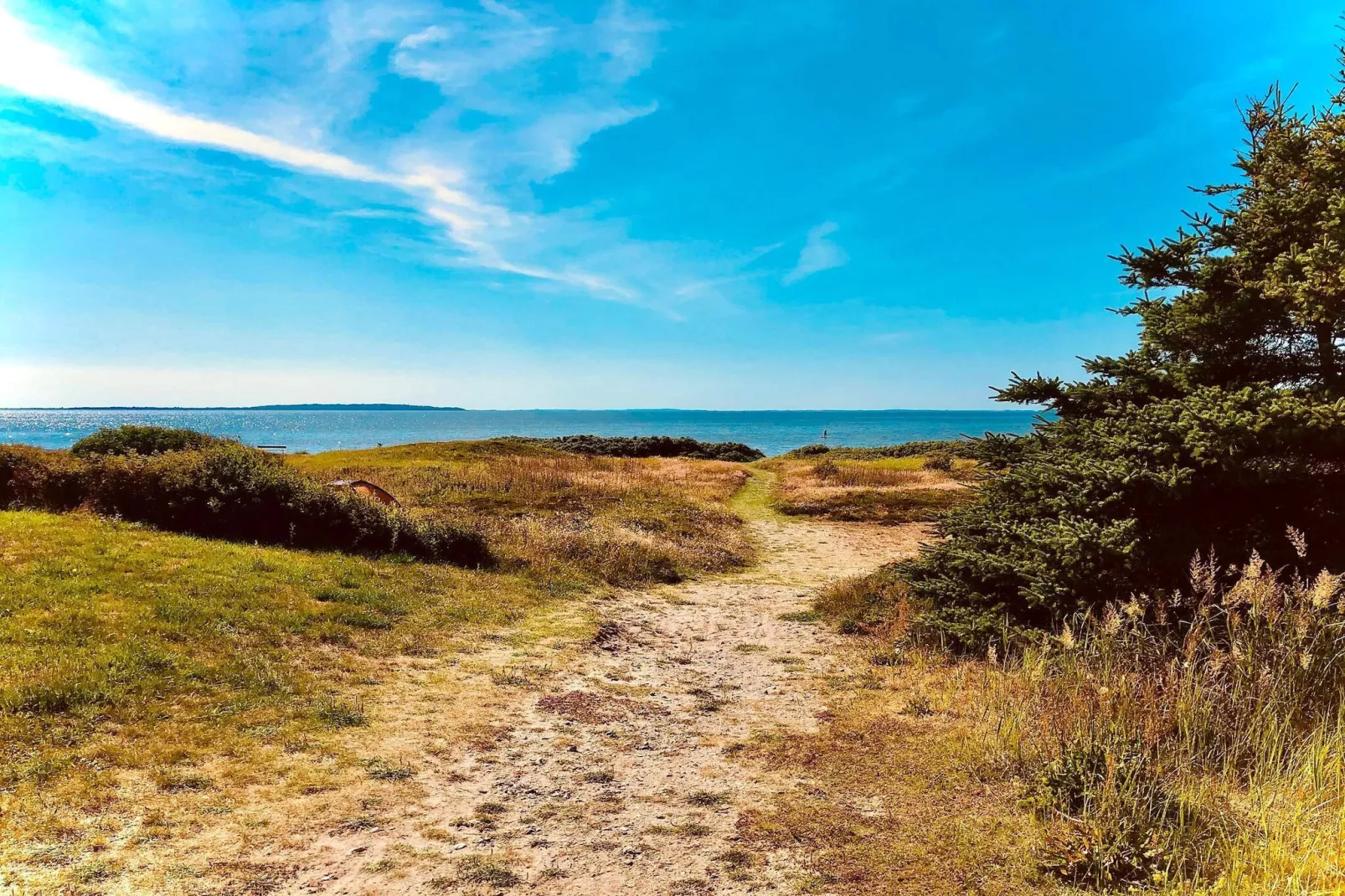 7 persoons vakantie huis in Løgstør-By Traum-Buitenlucht