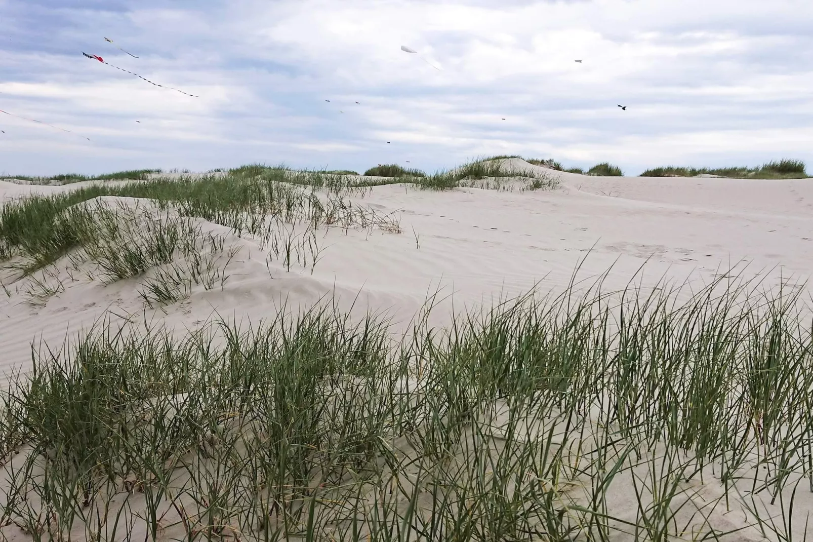 4 persoons vakantie huis in Fanø-By Traum