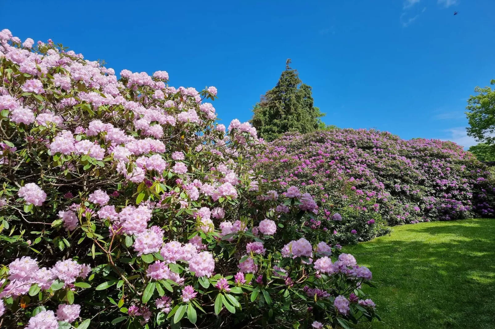 Strand retraite met sauna -- By Traum Ferienwohnungen