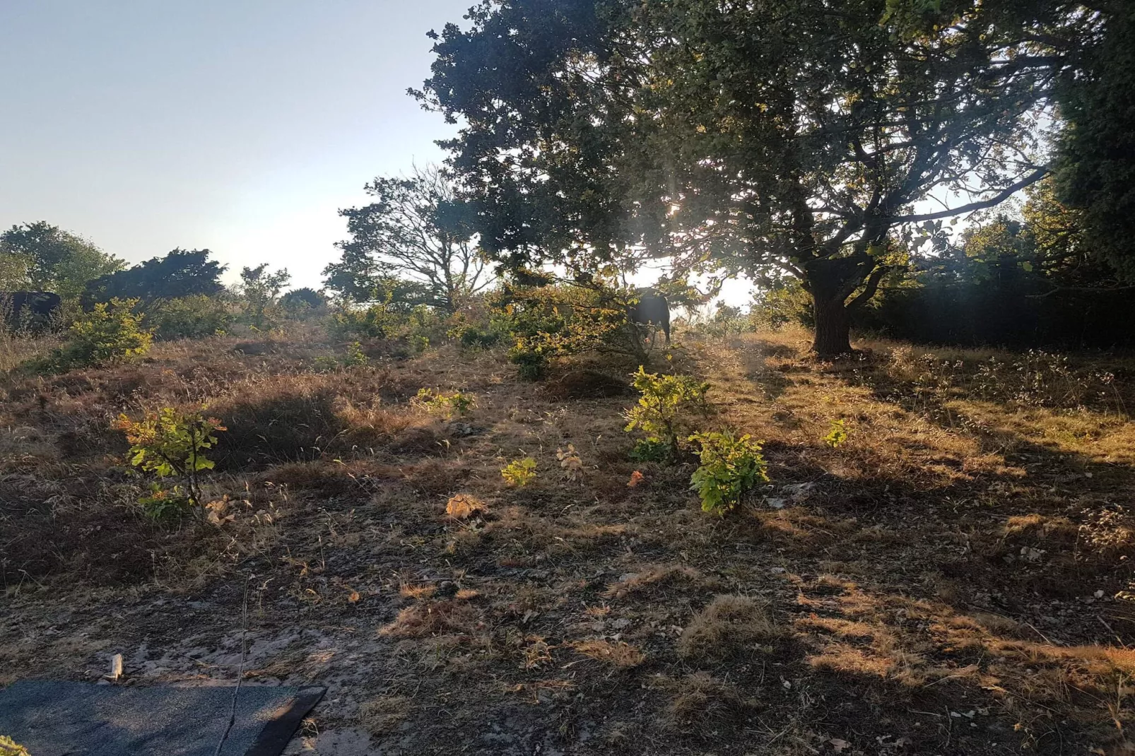 Licht vakantiehuis met hottub -- By Traum Ferienwohnungen-Niet-getagd